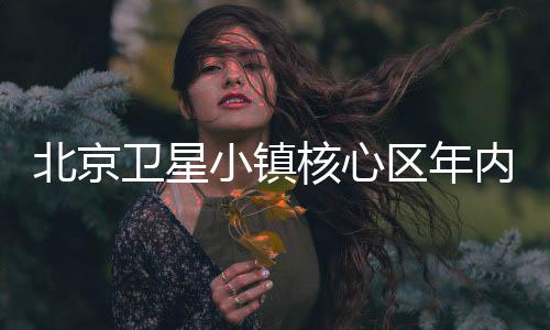 北京用卫星区年小镇内投核心