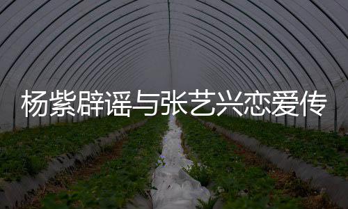辟谣杨紫与张艺兴我强人恋爱传闻是单身女